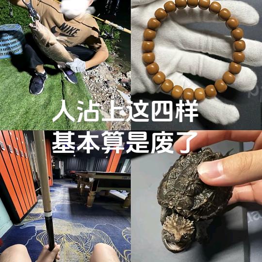 石龙