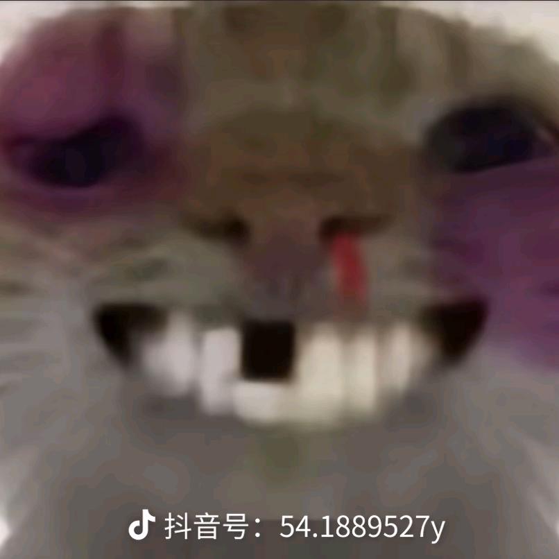 和平小乐