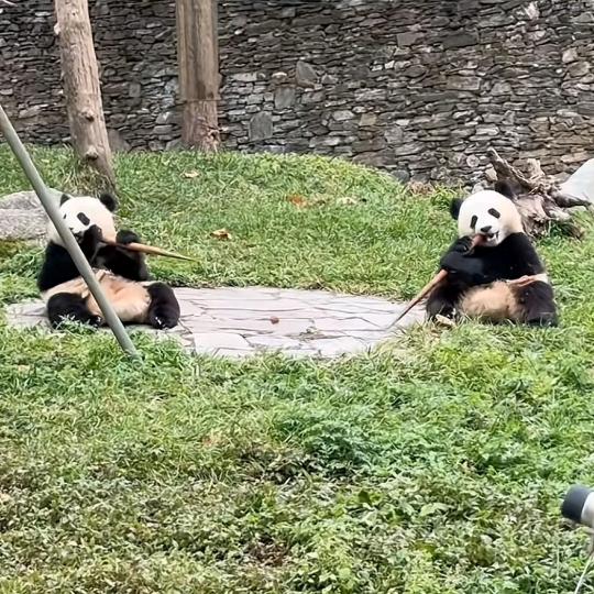 平凡日子里的挣扎