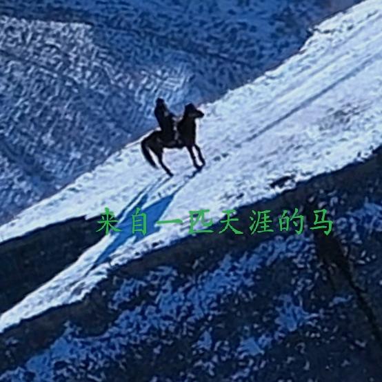 重生