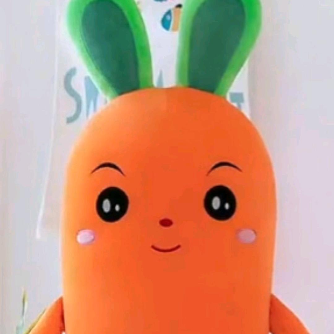 一根胡萝卜