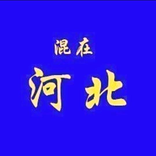 混在河北