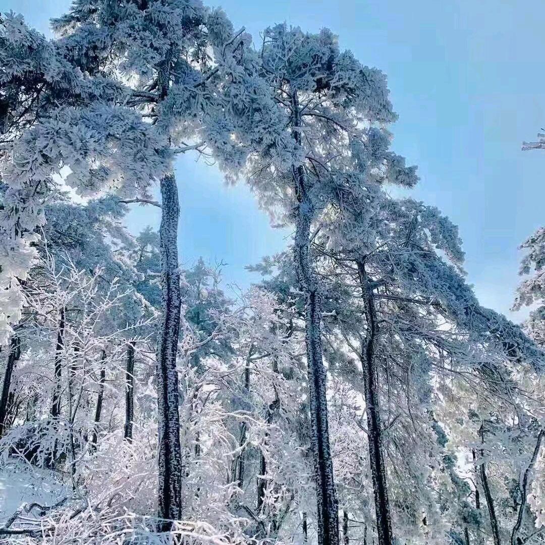 开心快乐每一天