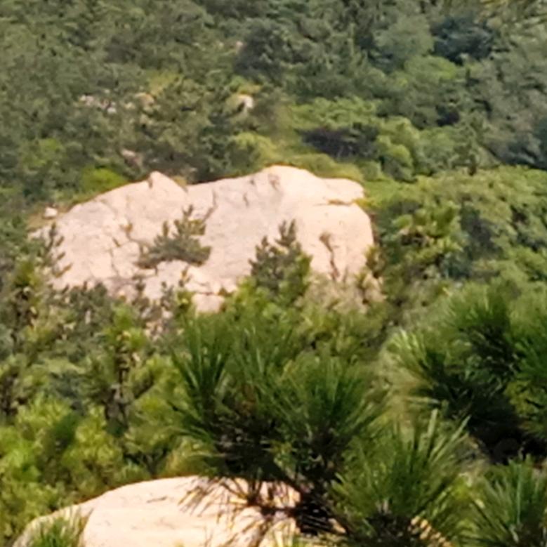 丽丽直播（绿幕分享下午2点15)