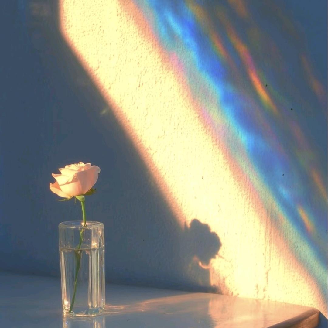 挑战200天成为琵琶大王