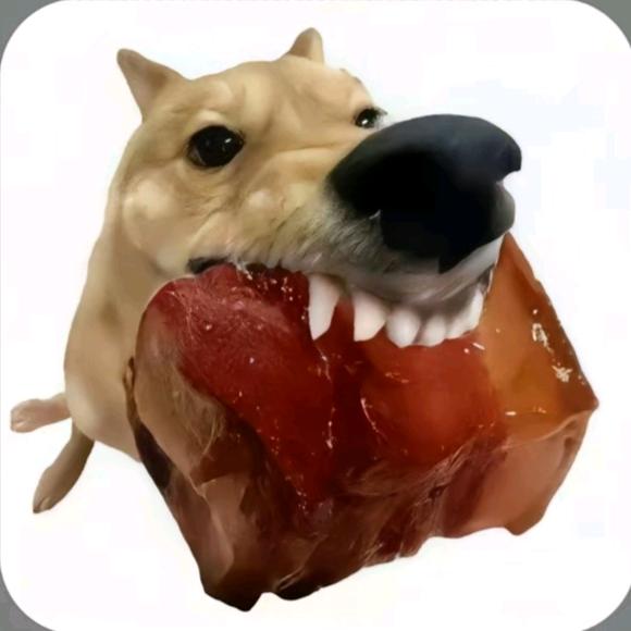 王火乐的旅行日记