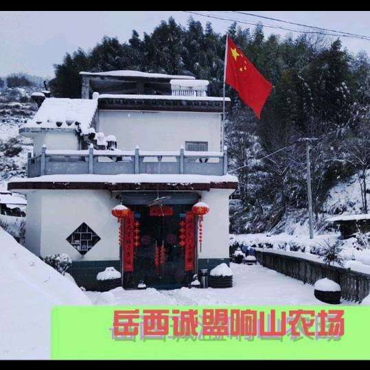 诚盟汽车服务中心诚盟响山家庭农场