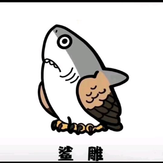 深知是梦难触碰
