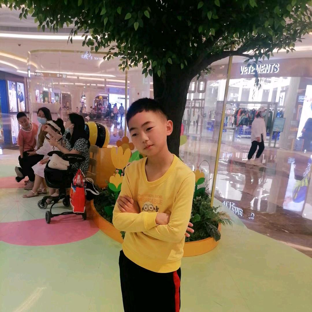 菊花。
