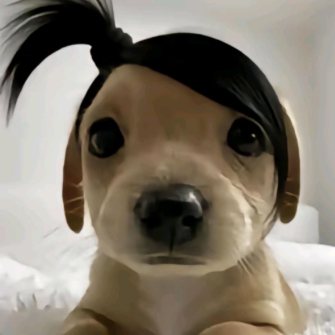超乖的小财迷👧🏻✨