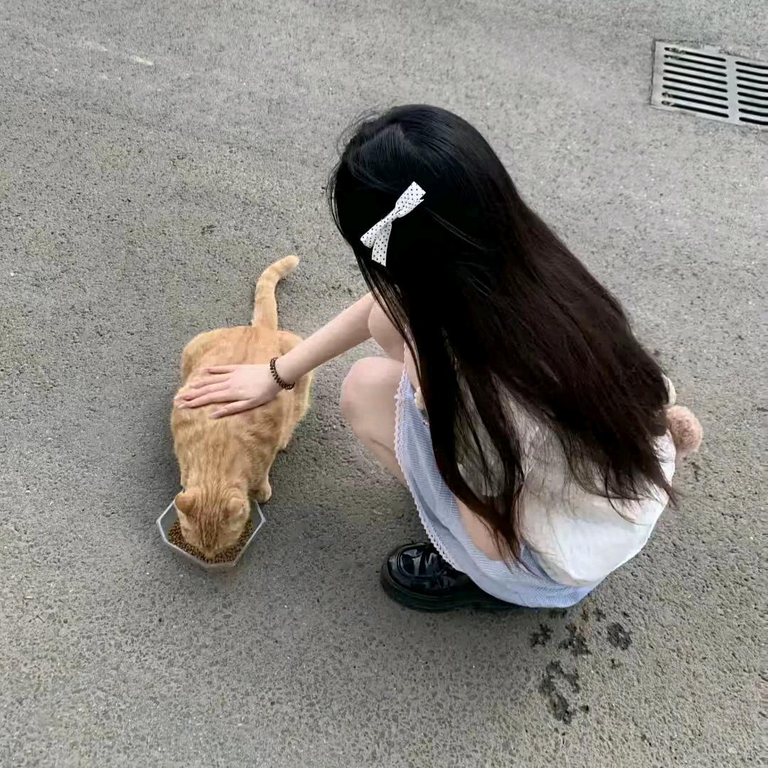 泚悠