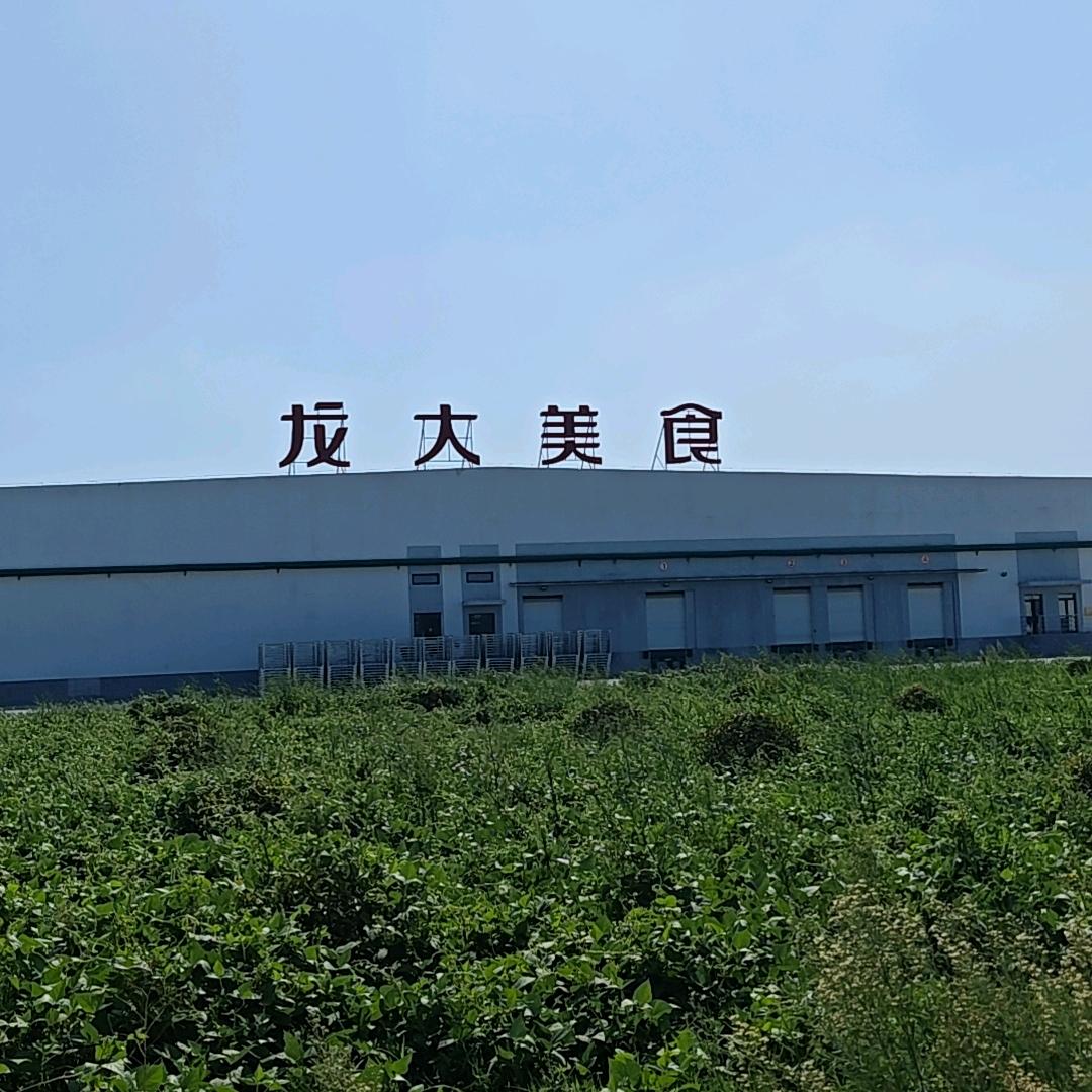 灌云龙大美食招聘直播号～咨询培训