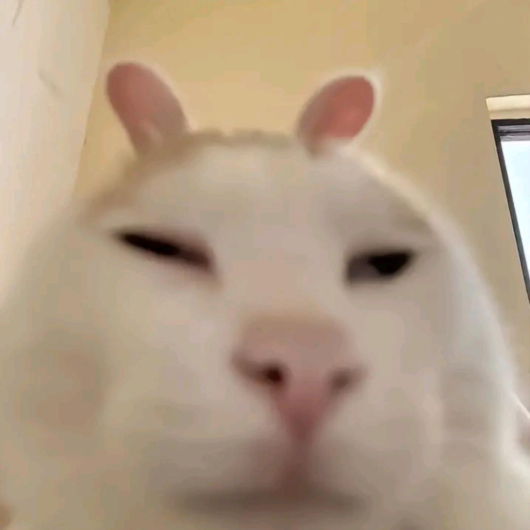 触云