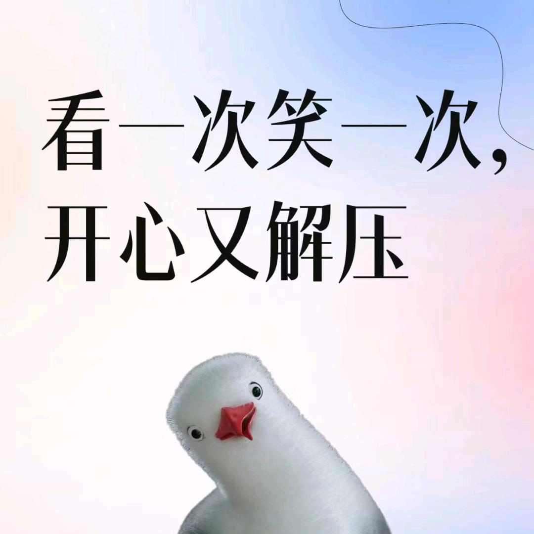 面包姐爱生活🔥