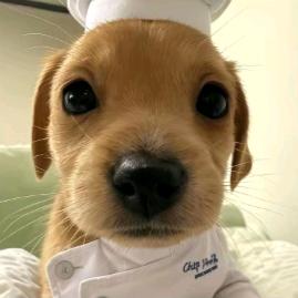 @玩蛋仔的惰懒雨