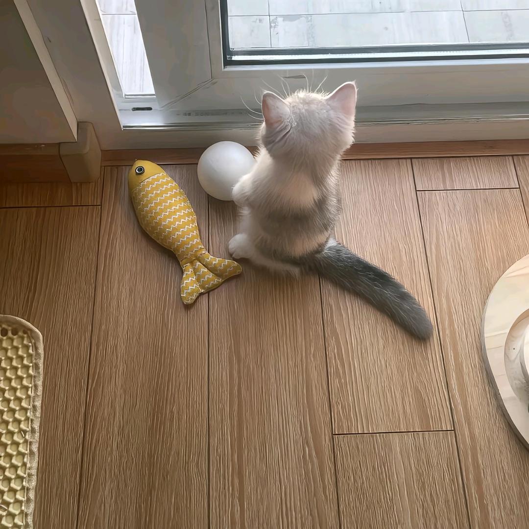 人丑嘴笨还没钱