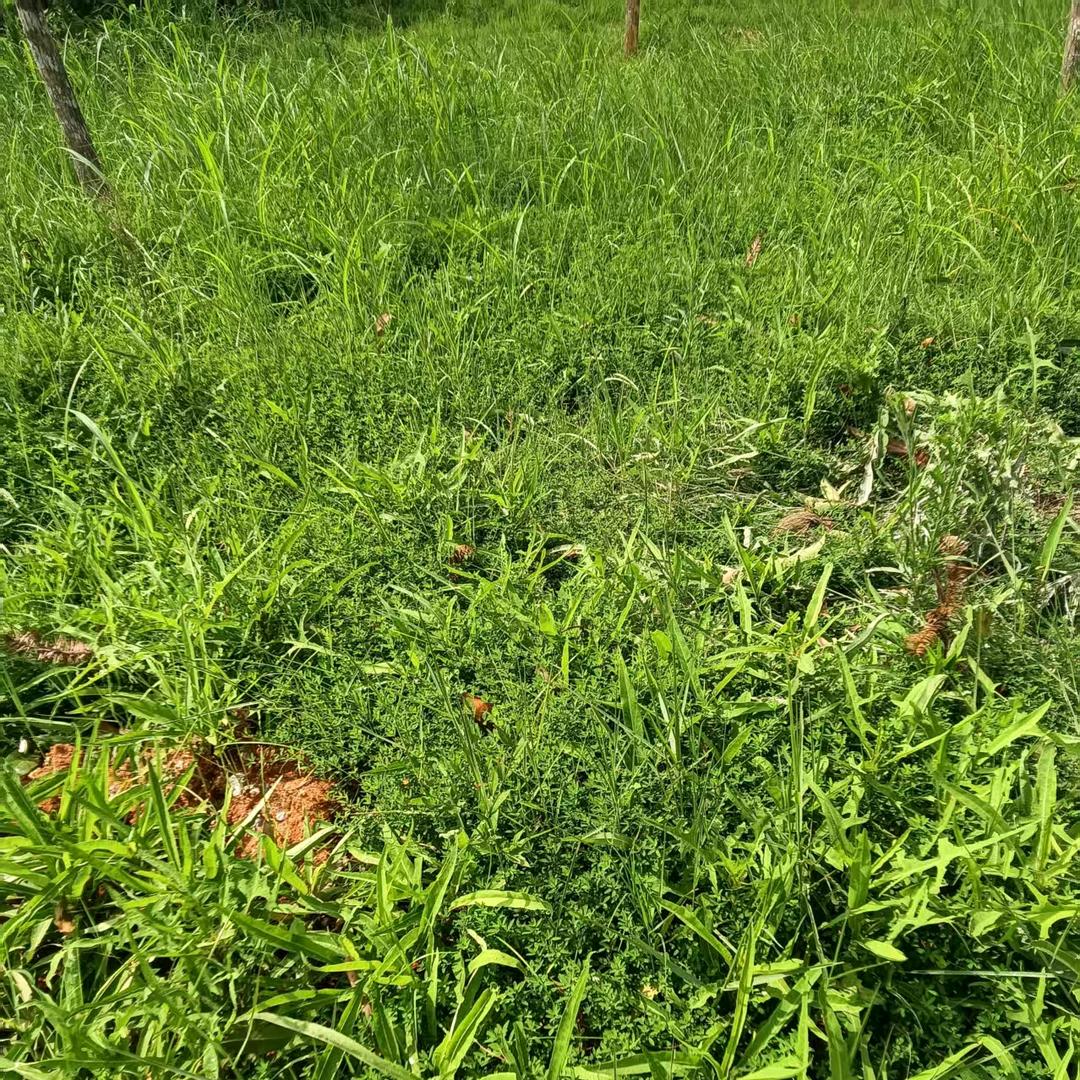 预留