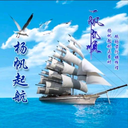 ⛴️杨帆起航⛴️