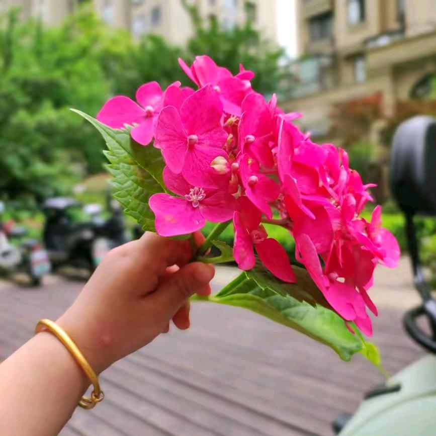 放下所有，为自己