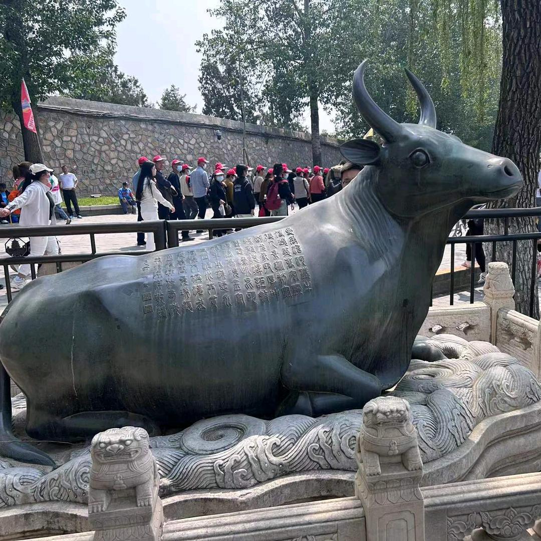 撒尿淹死蚂蚁