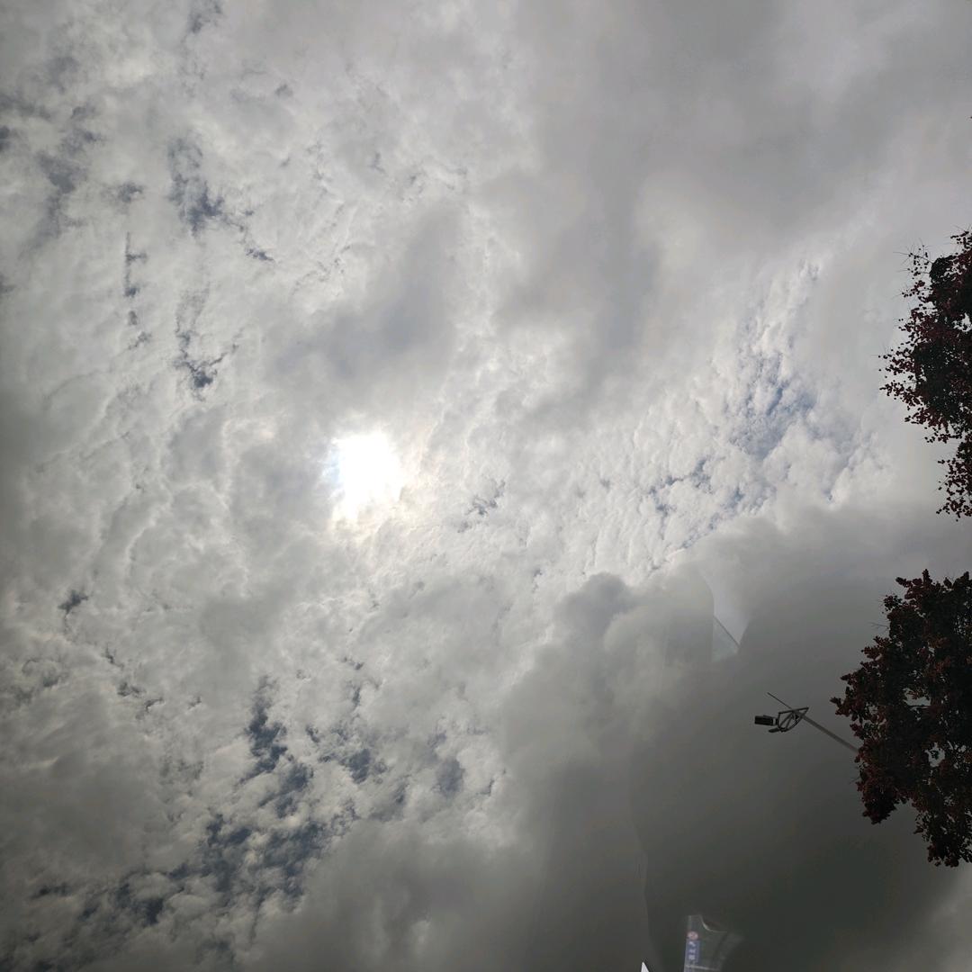静雨