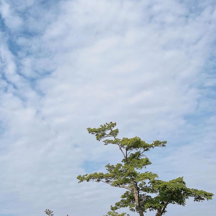 几方-小美