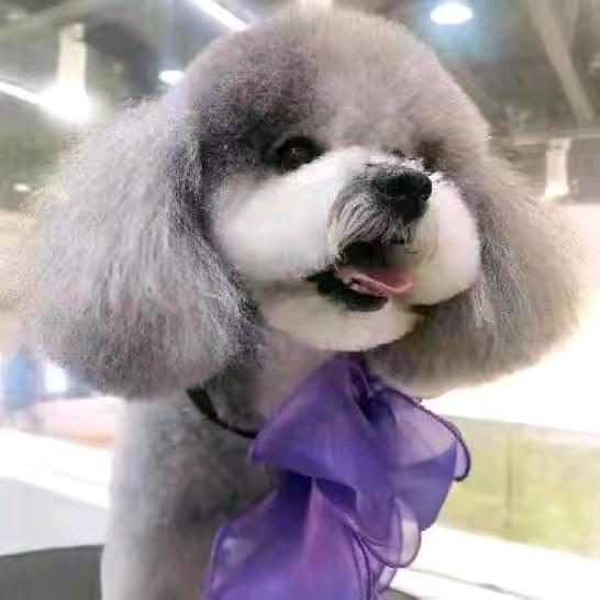 🇨🇳民哥🇨🇳