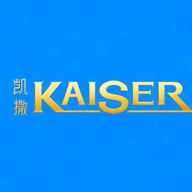凯撒KAISER朗曜男装
