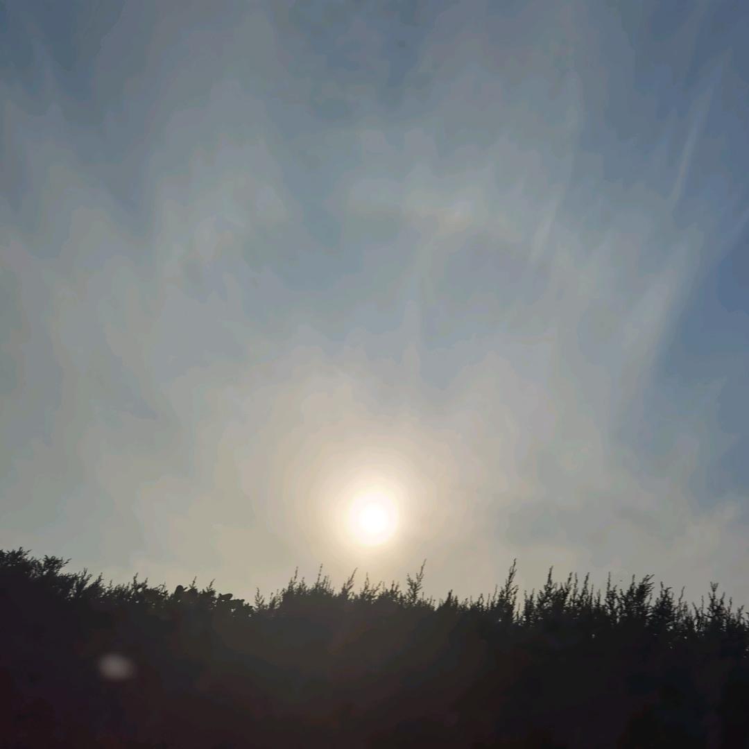 靑逸
