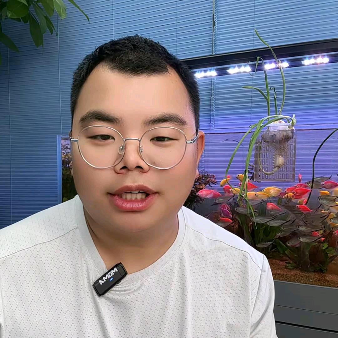 爱养观赏鱼的老白