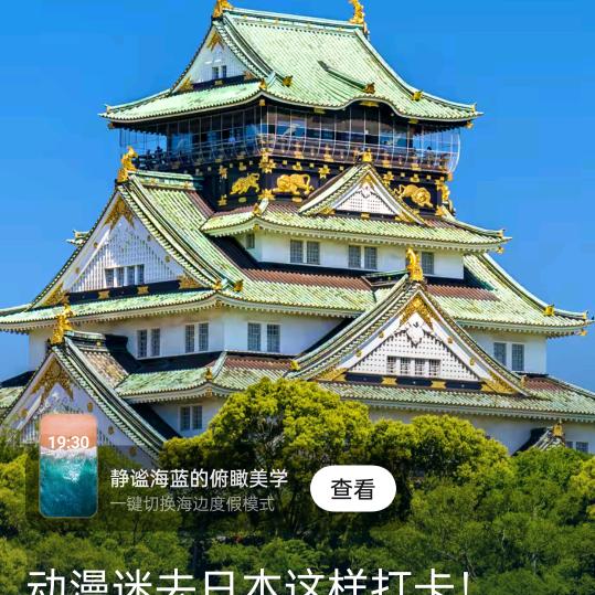 忘掉伤痛从头再来。🌹🌹🌹‘🧡
