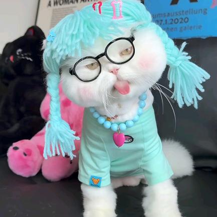 周美美(向阳而生版)