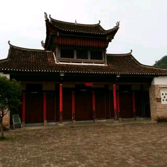 田哥