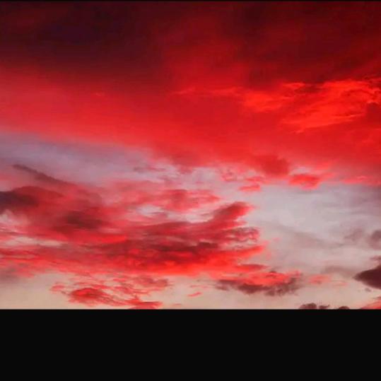 ✨财运🍀加陈✨🐟