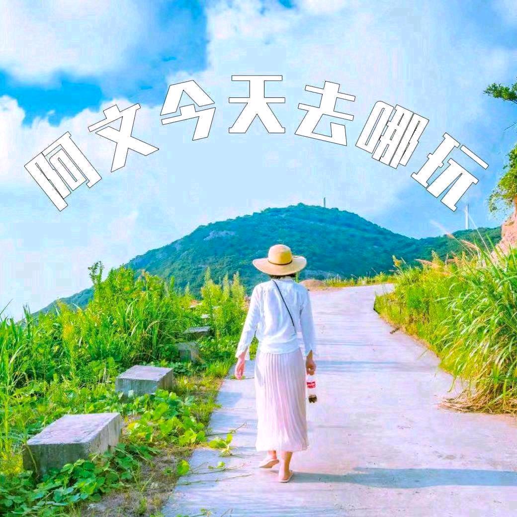 阿文今天去哪玩