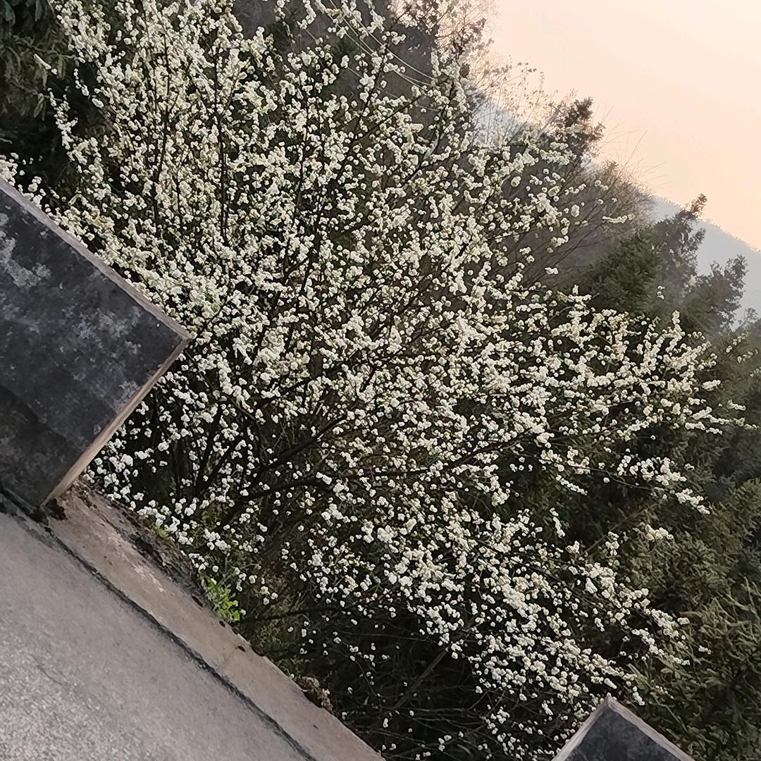 孤独的人。头像