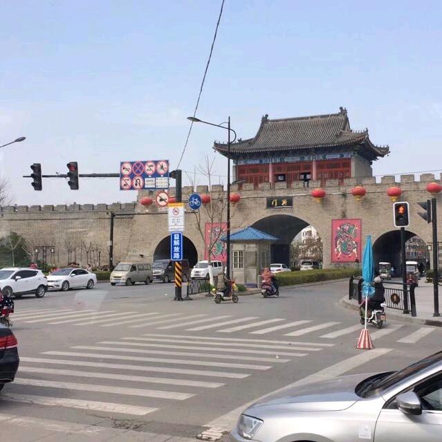 杨努力