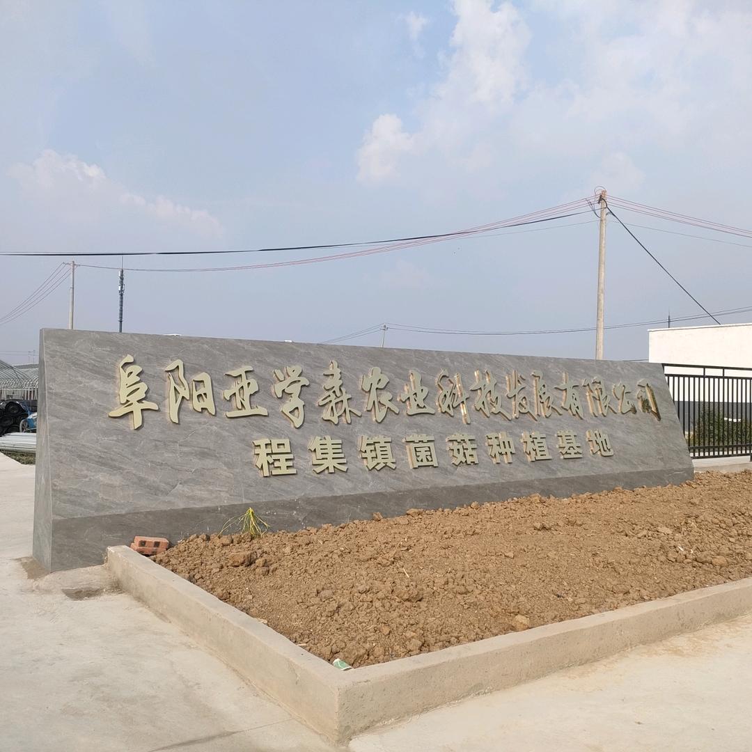 阜阳亚学森菌业