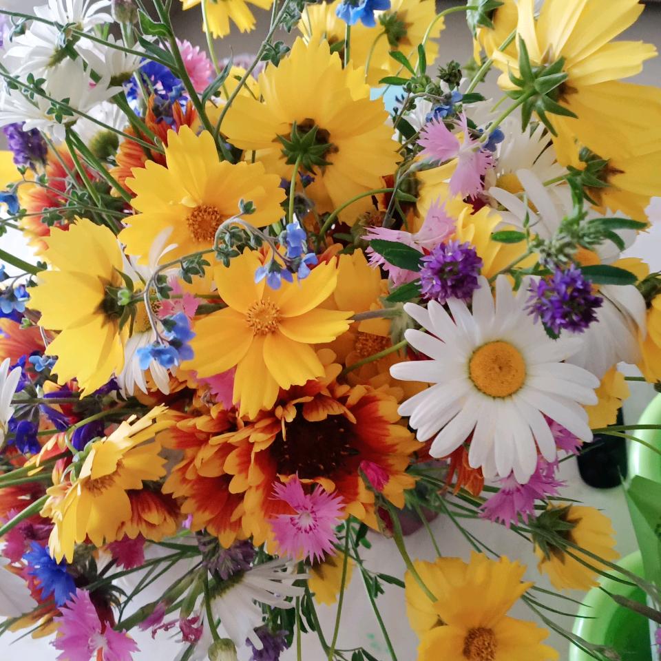 🦋ℒᎭℯ⃝ℋ燕🍒᭄💞࿐