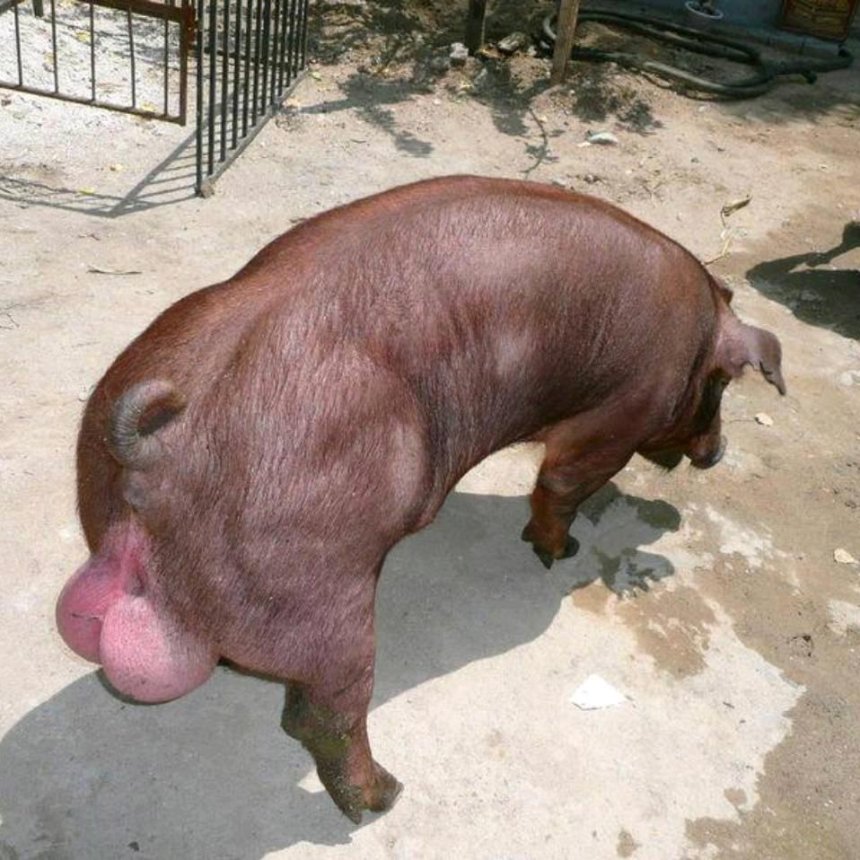 江苏徐姐(早8点28分)