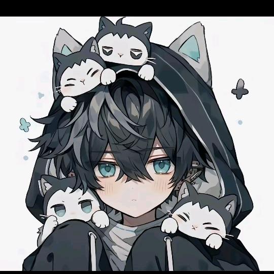 叙渊