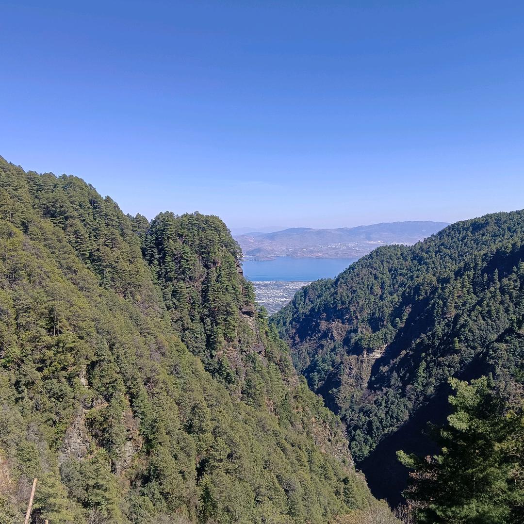 た寳ず🥰•᷄ࡇ•᷅✧*。٩(ˊωˋ*)