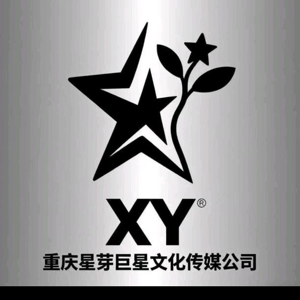重庆星芽巨星传媒-仔仔