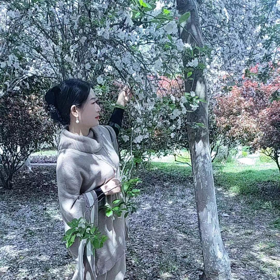 仙姐信息咨询服务