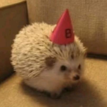 上海滩最邪恶的小面包