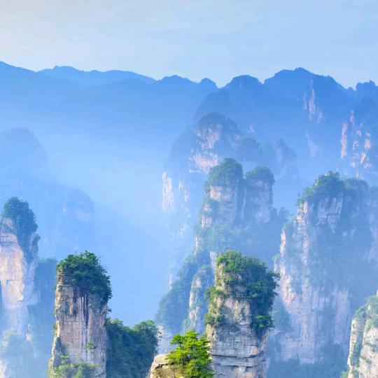 🥀ꦿ꯭未来的老公💞꧔ꦿ᭄