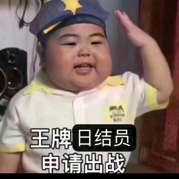 庆明飞武花花开