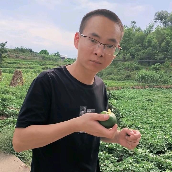 小雷鱼龟