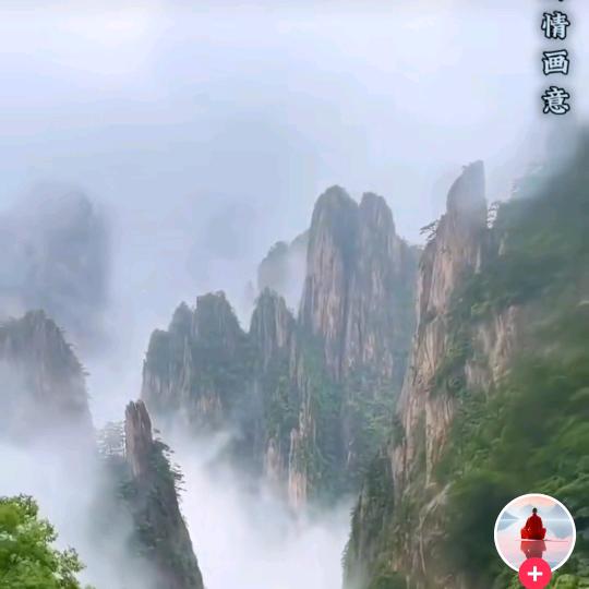 柿事如意