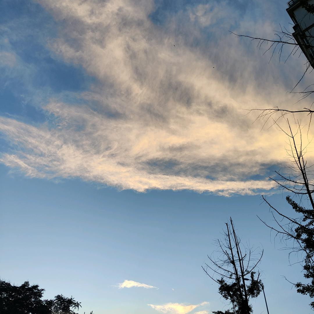 风依
